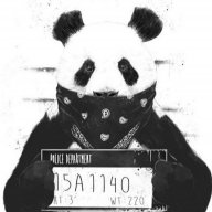 Panda5