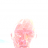 renx