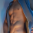 Pirotin