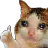usuke