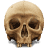 Cybroptik