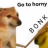 Dbk