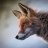 ultimatefox