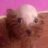 User_70633
