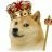 kingdoge