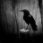 BlackRaven